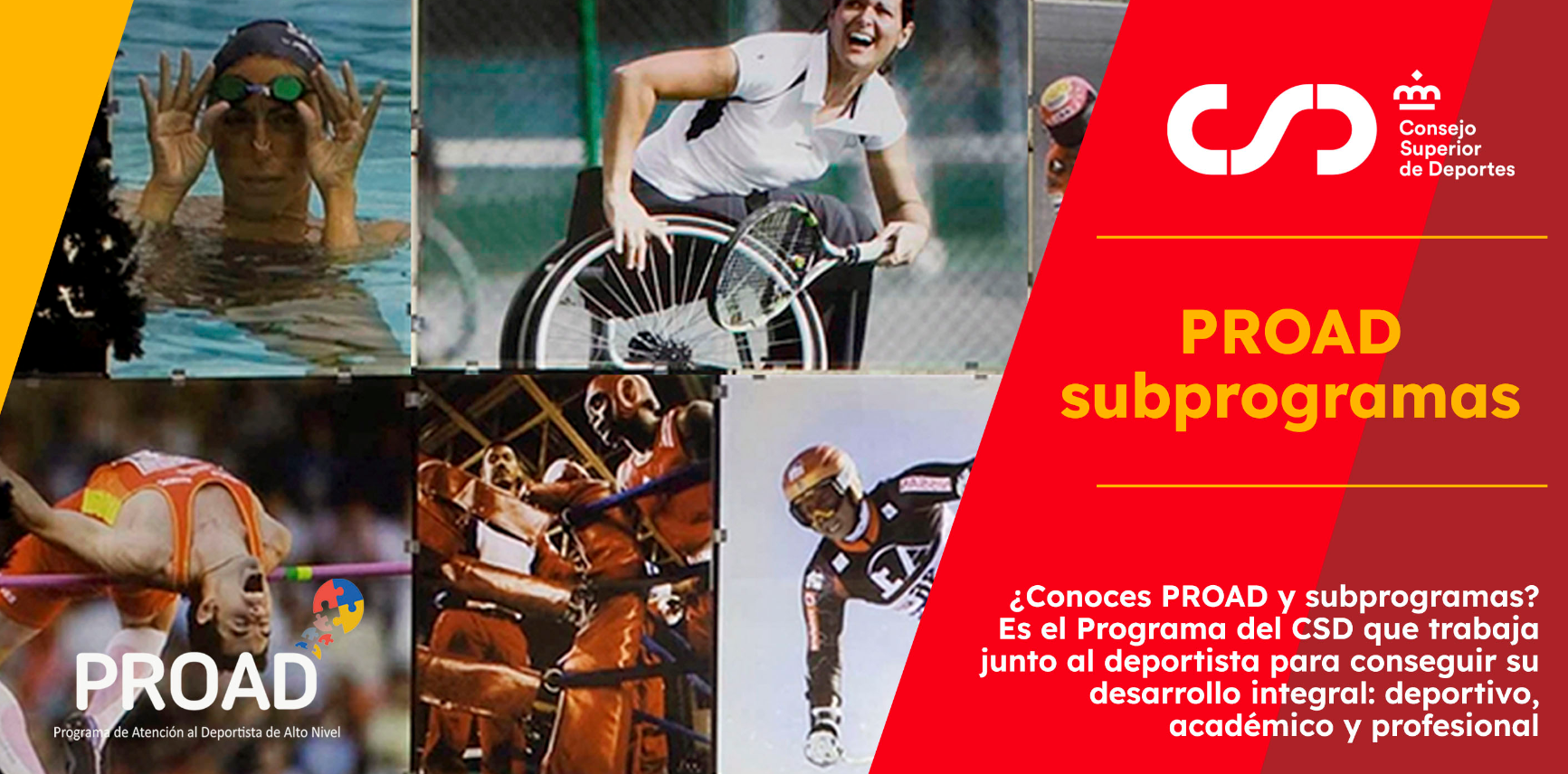 ¿Conoces #PROAD y sus subprogramas?